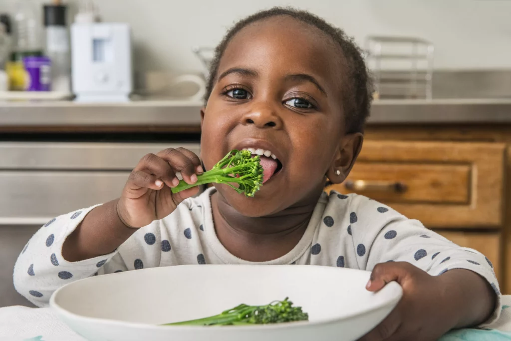 alimentação